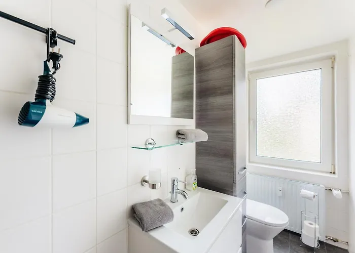 Tiny 브라운라제