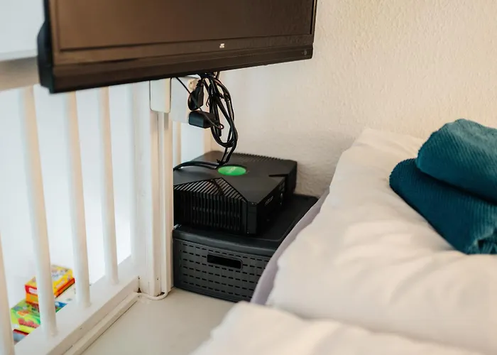 Tiny * 브라운라제