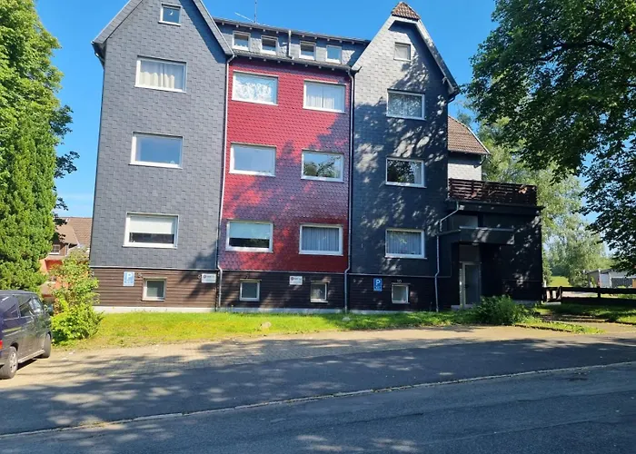 Tiny 브라운라제